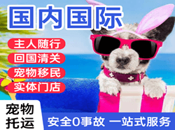 栎社机场物流国际宠物托运 【国